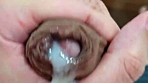 Novinho, te verked és élvezel a szomszédoknak?