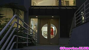 יופי ספפו צולל לכוס מגולחת רטובה.