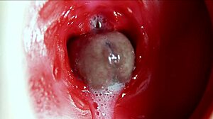 Groot Orgasme Diep in Anus met Hard Kreunen en Bergen Sperma