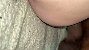 Cele mai bune close-upuri creampie interrasial cu curve albe tinere 18+