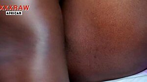 Mdx elsker steponkel som knuller ebony fitte med store pupper og våt action i hjemmelagd afrikansk stil