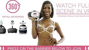 Безумная Новогодняя Вечеринка С Транси И Её Другом Сегодня!